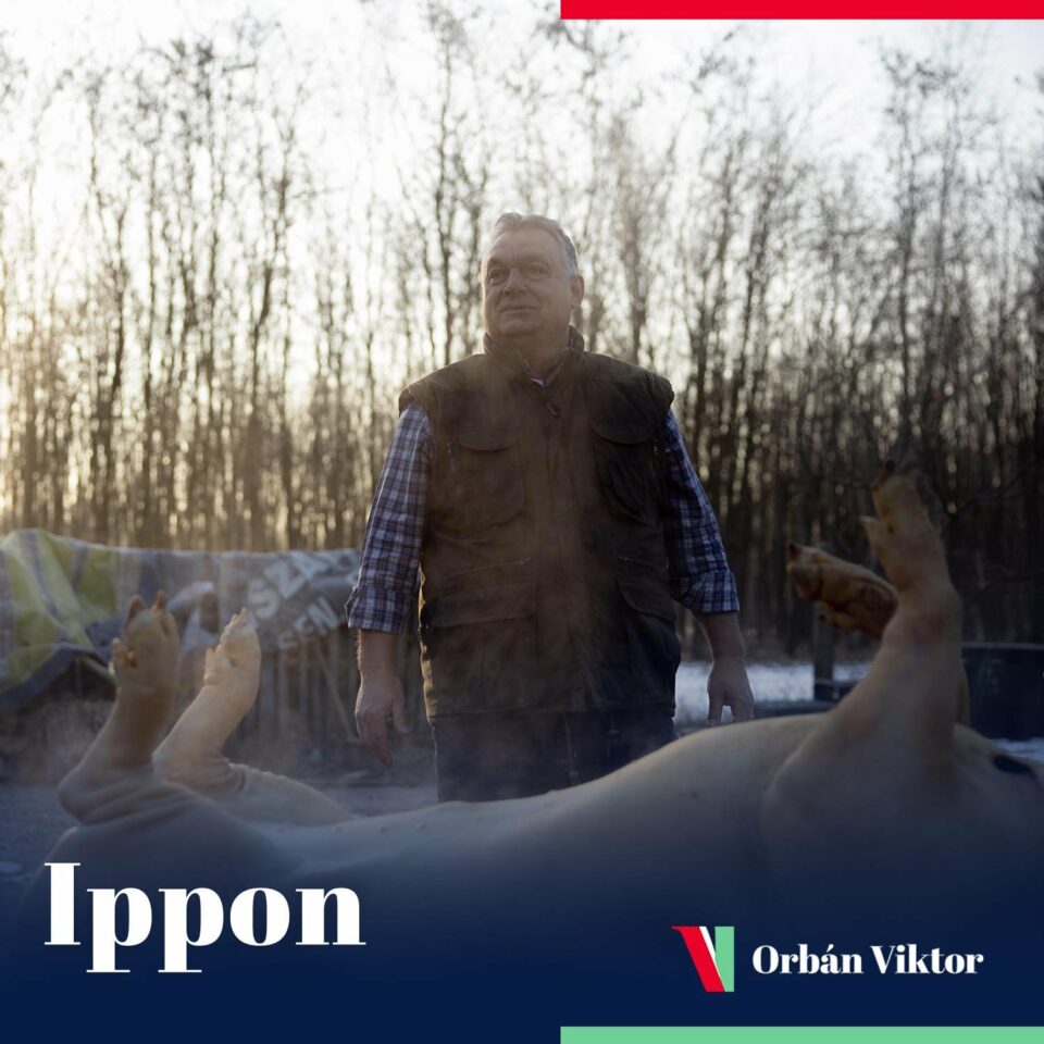 Orbán Viktor kemény küzdelem után ipponnal intézte el az öttömösi sertést