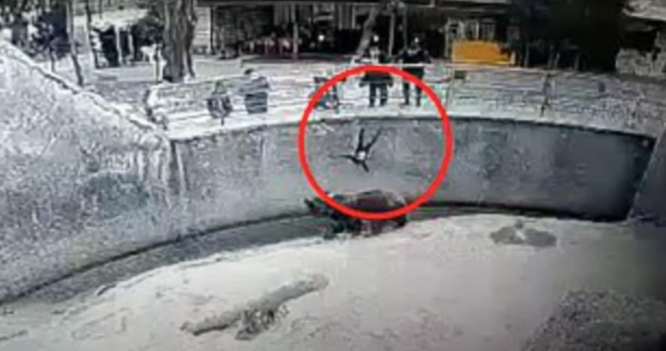 Horror: bedobta 3 éves kislányát a medvekifutóba az üzbég anya