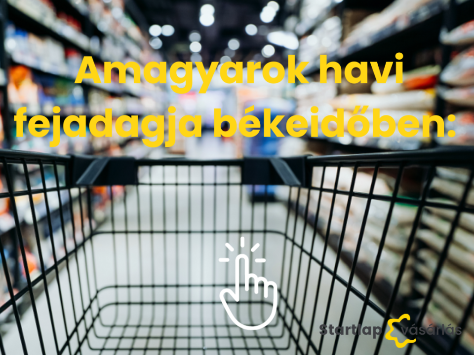 Havi fejadagokat határozott meg a kormány