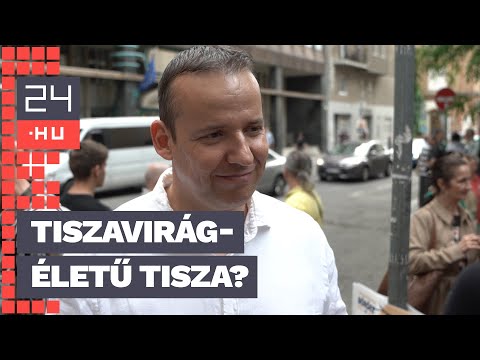 Zavaros, túl van a csúcson, a háttérhatalom küldte — a Mi Hazánk tüntetőit kérdeztük Magyar Péterről