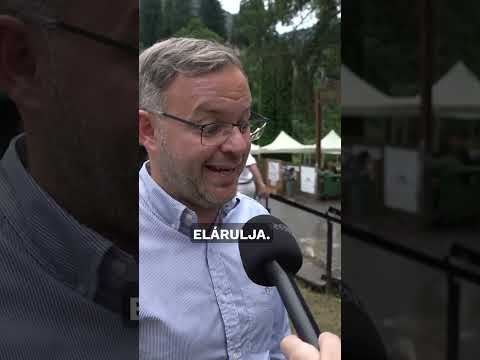 Magyar Péter nem volt a Fidesz struktúrájának része #24ponthu #tusványos #orbánbalázs #magyarpéter