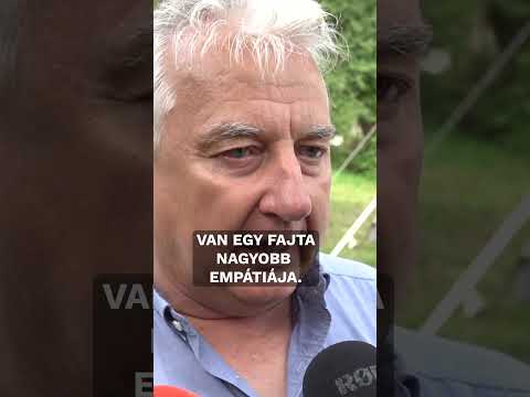Elférne több nő a magyar politikában?