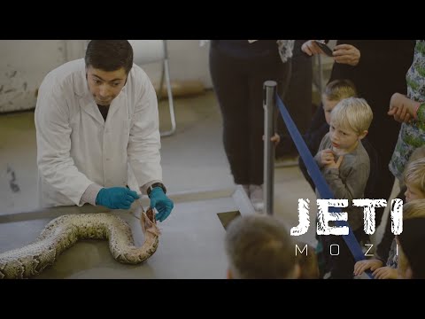 Hiányzol, Marius: egy állatkerti zsiráf leölésének és nyilvános felboncolásának története