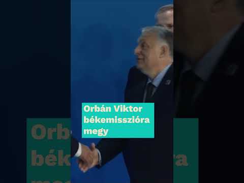 Újraszámlálás, békemisszió, kórházi klímák – minden rémlik a politikai brat summerből?  #2024