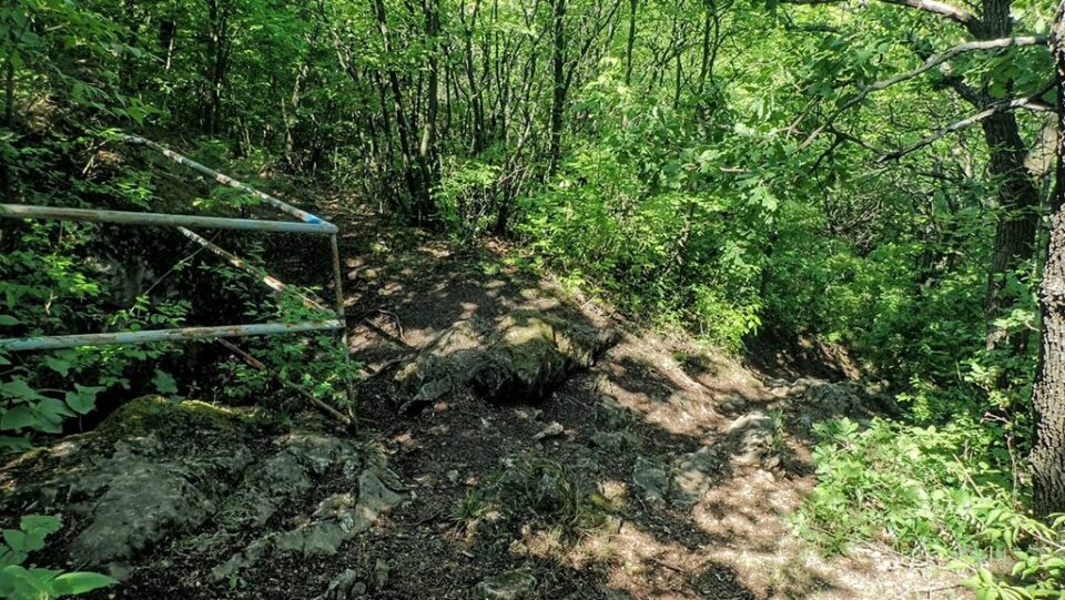 Tényleg Erdő Péter lesz a pápa? Mutatjuk a legfrissebb esélyeket!